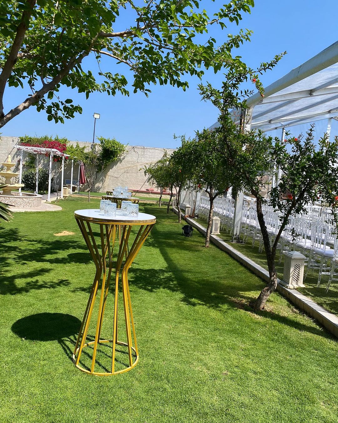 Snapinsta.app_442489499_17974863770703194_5775358429876642513_n_1024